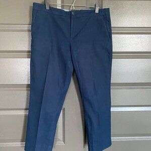 Banana Republic Hampton Fit Blue Trouser Sz 12